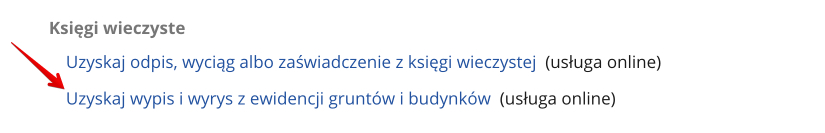 Wypis z rejestru gruntów i wyrys z mapy ewidencyjnej - wniosek przez Internet - wybór usługi