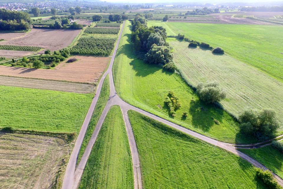 Podział nieruchomości a służebność gruntowa