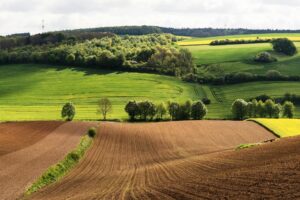 Stary numer działki lub jego brak w księdze wieczystej